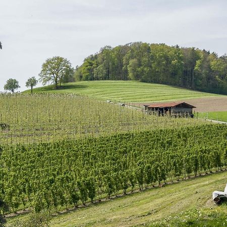 Ferienwohnung Lang Kressbronn am Bodensee Extérieur photo