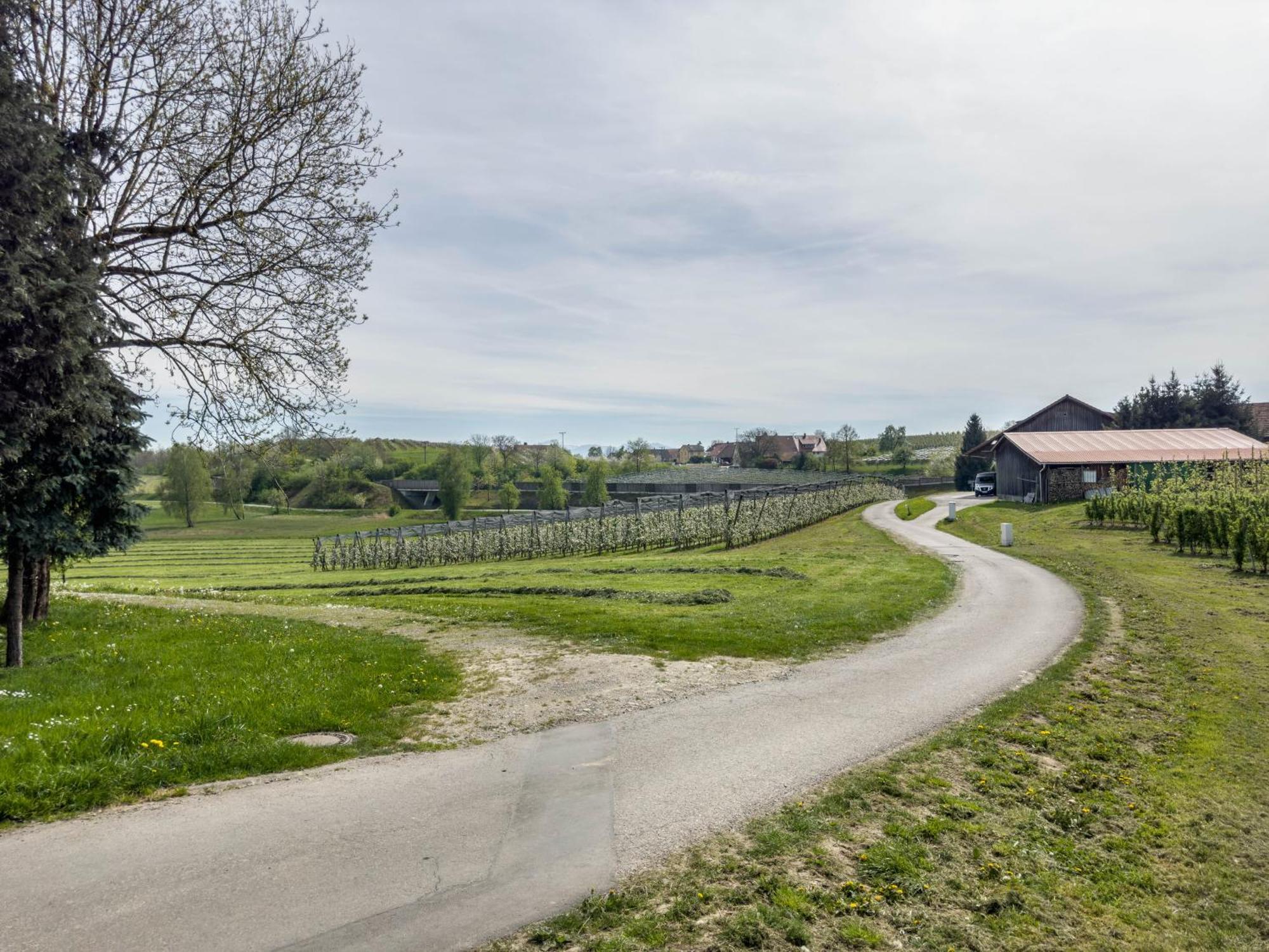 Ferienwohnung Lang Kressbronn am Bodensee Extérieur photo