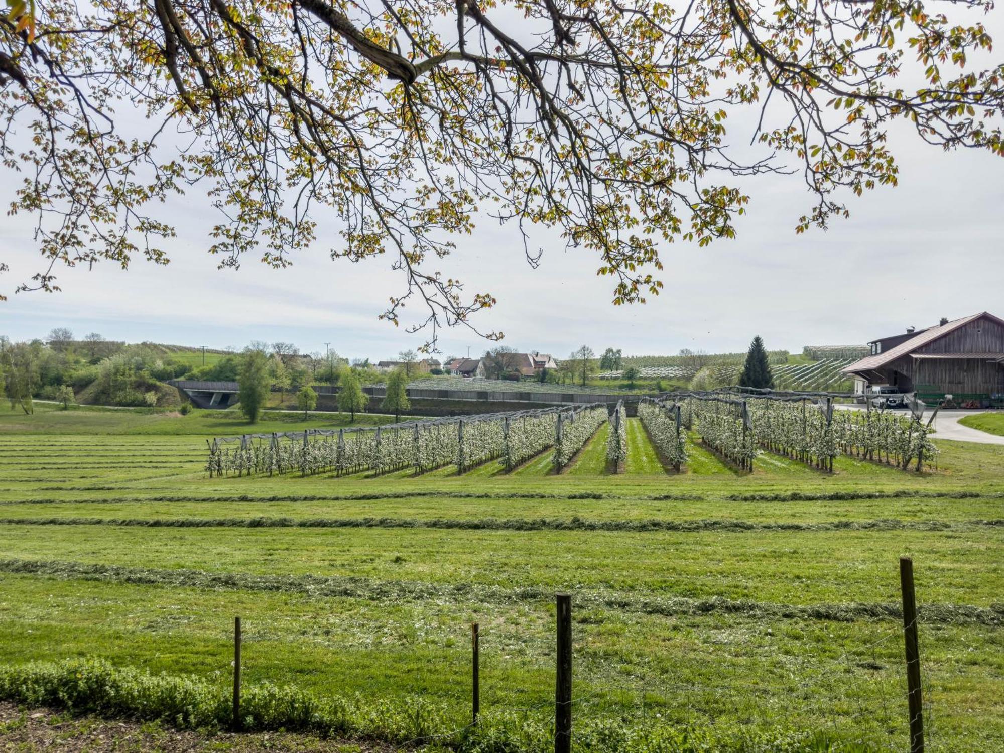 Ferienwohnung Lang Kressbronn am Bodensee Extérieur photo